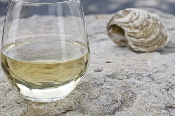 Chablis vs Mâcon: twee gezichten van chardonnay uit Bourgogne