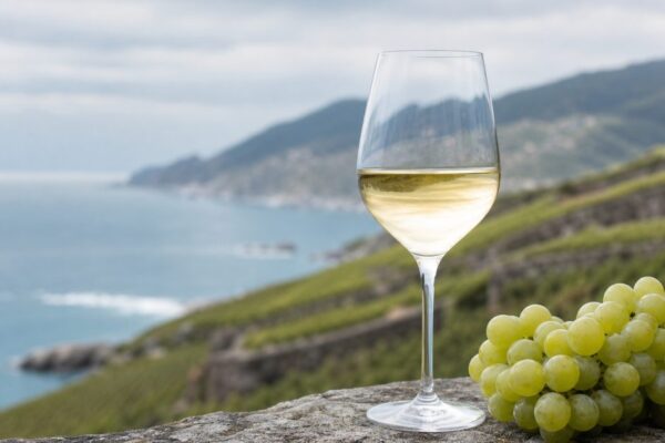 Albariño uit Rías Baixas: strak, zilt en beter dan veel mensen denken