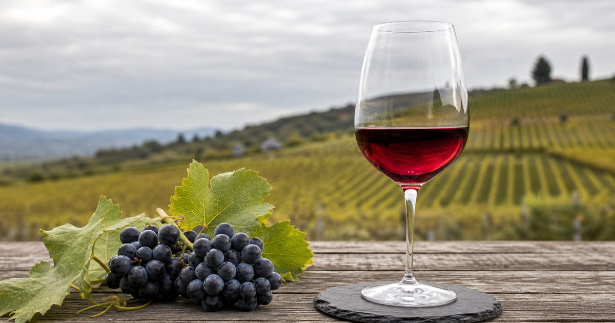 Gamay buiten Beaujolais: wat deze druif kan als je hem serieus neemt